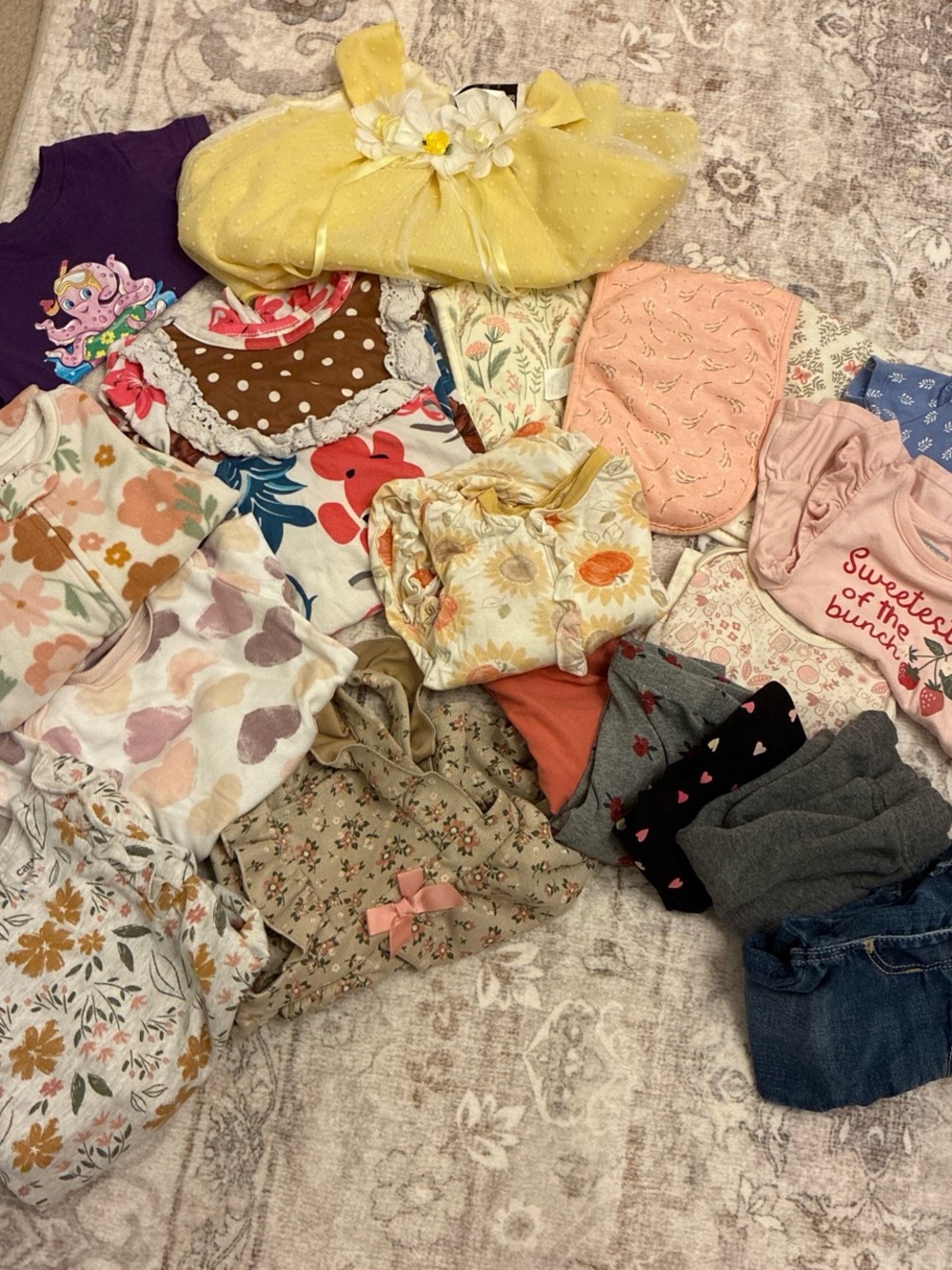 Baby Girl clothing bundle